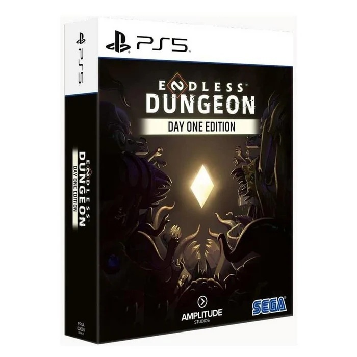 PS5 Endless Dungeon