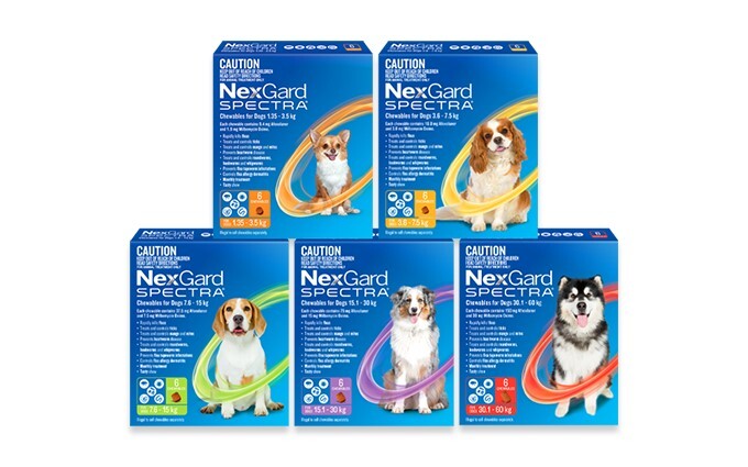 **2-5星期先收到［免運費］NexGard SPECTRA ®驅蟲 咀嚼片 (6粒裝)|香港 不設自取|不能使用任何優惠|平行進口代購項目|沒有贈品