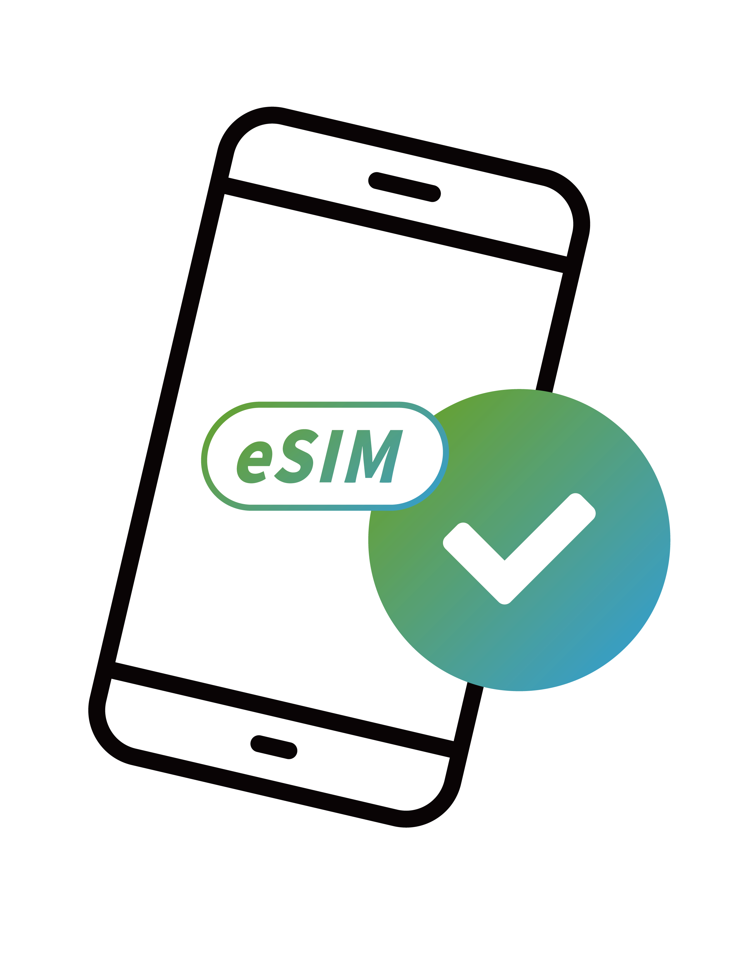 eSIM 支援檢測示意圖
