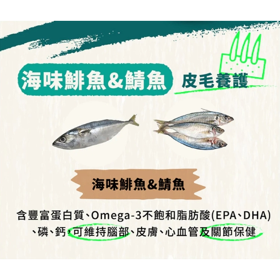 短效優惠🔥OPEN FARM 開放農場｜貓咪慢煮主食餐盒 5.5oz 放養火雞/海味鮮鯡魚&鯖魚 (效期27/1/7)