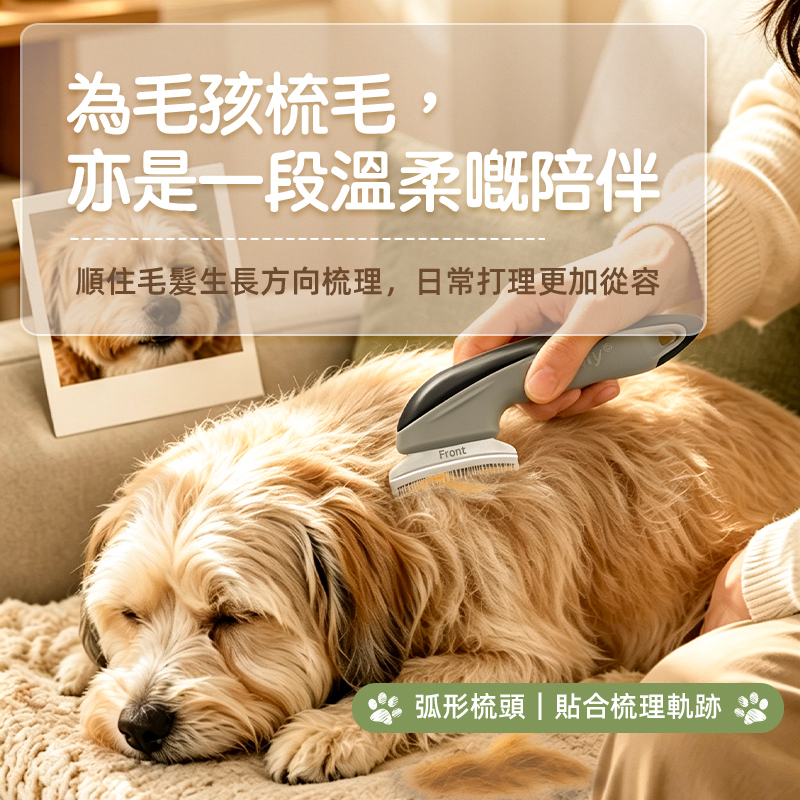 Petuity ‑ 寵物淨毛梳｜貓狗專用除毛梳，輕鬆梳除底層浮毛，居家寵物日常護理必備