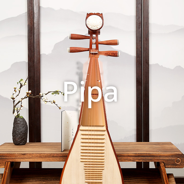 Pipa