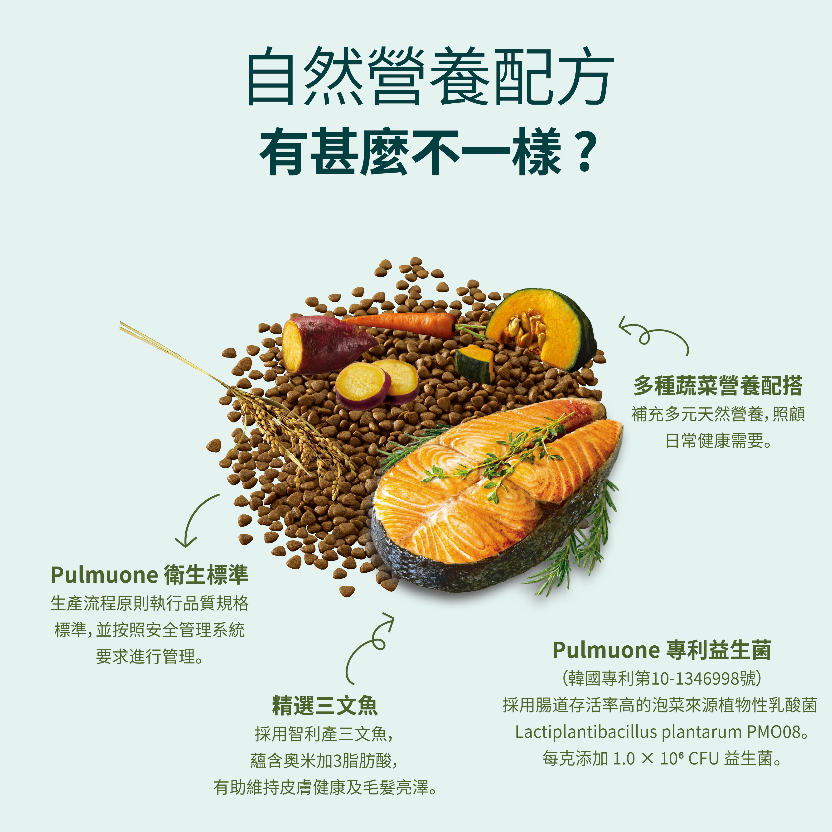 Amio 韓國自然營養系列貓糧 三文魚全貓配方 1.8kg (200g x 9袋)