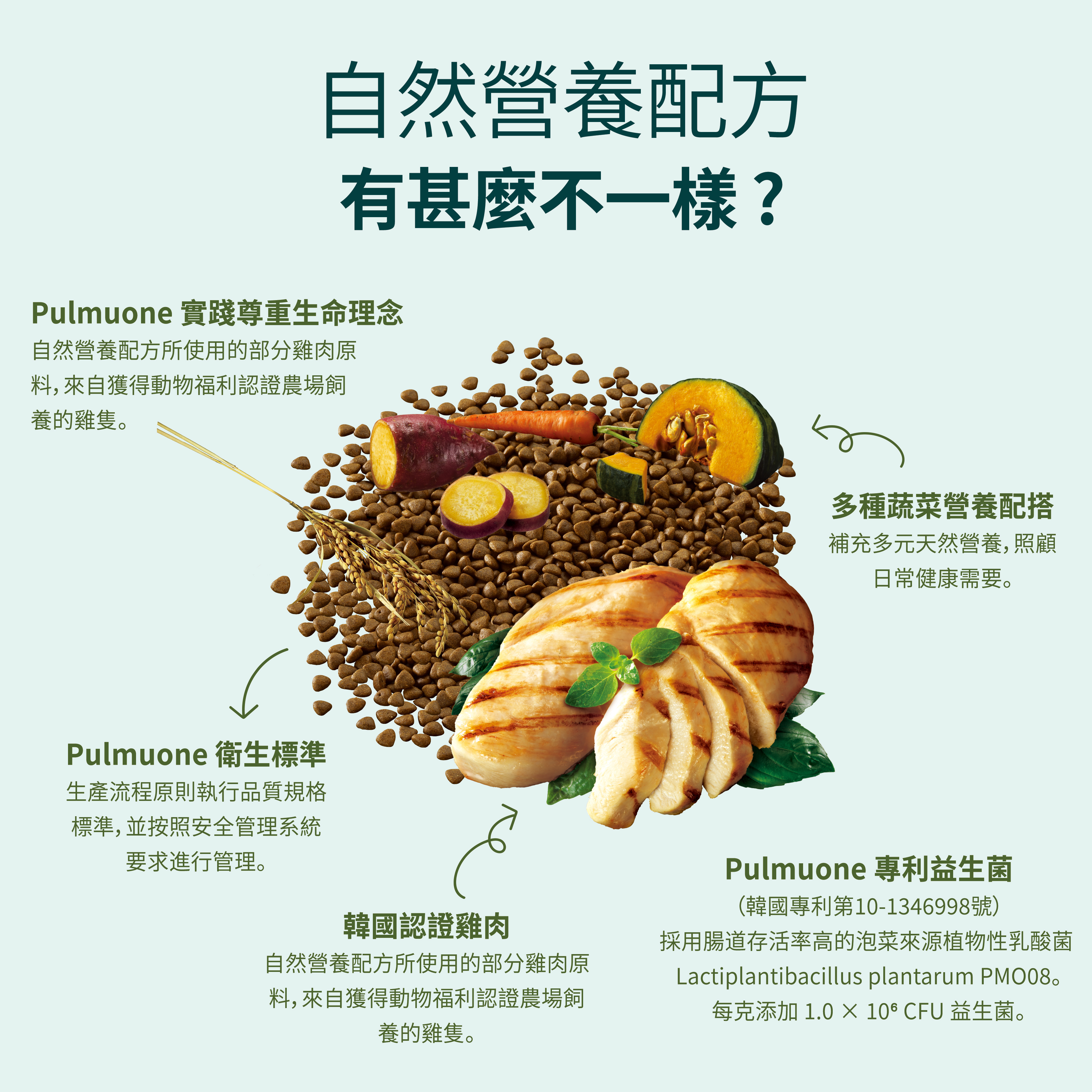 Amio 韓國自然營養系列貓糧 雞肉全貓配方 1.8kg (200g x 9袋)