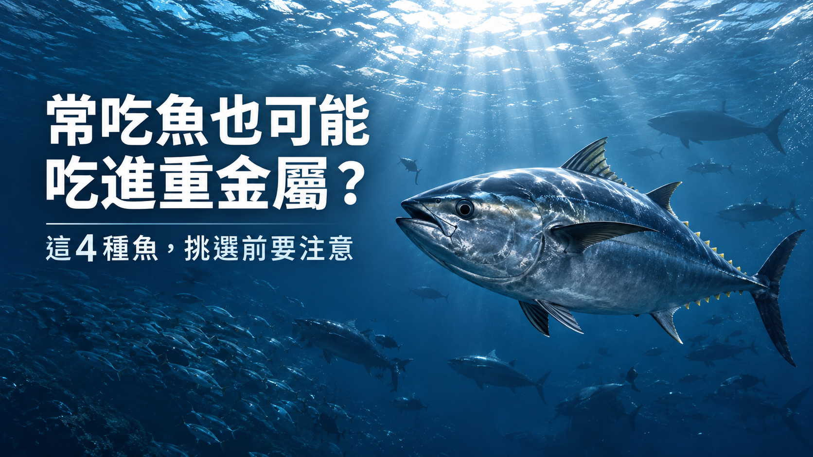 魚類重金屬與甲基汞風險