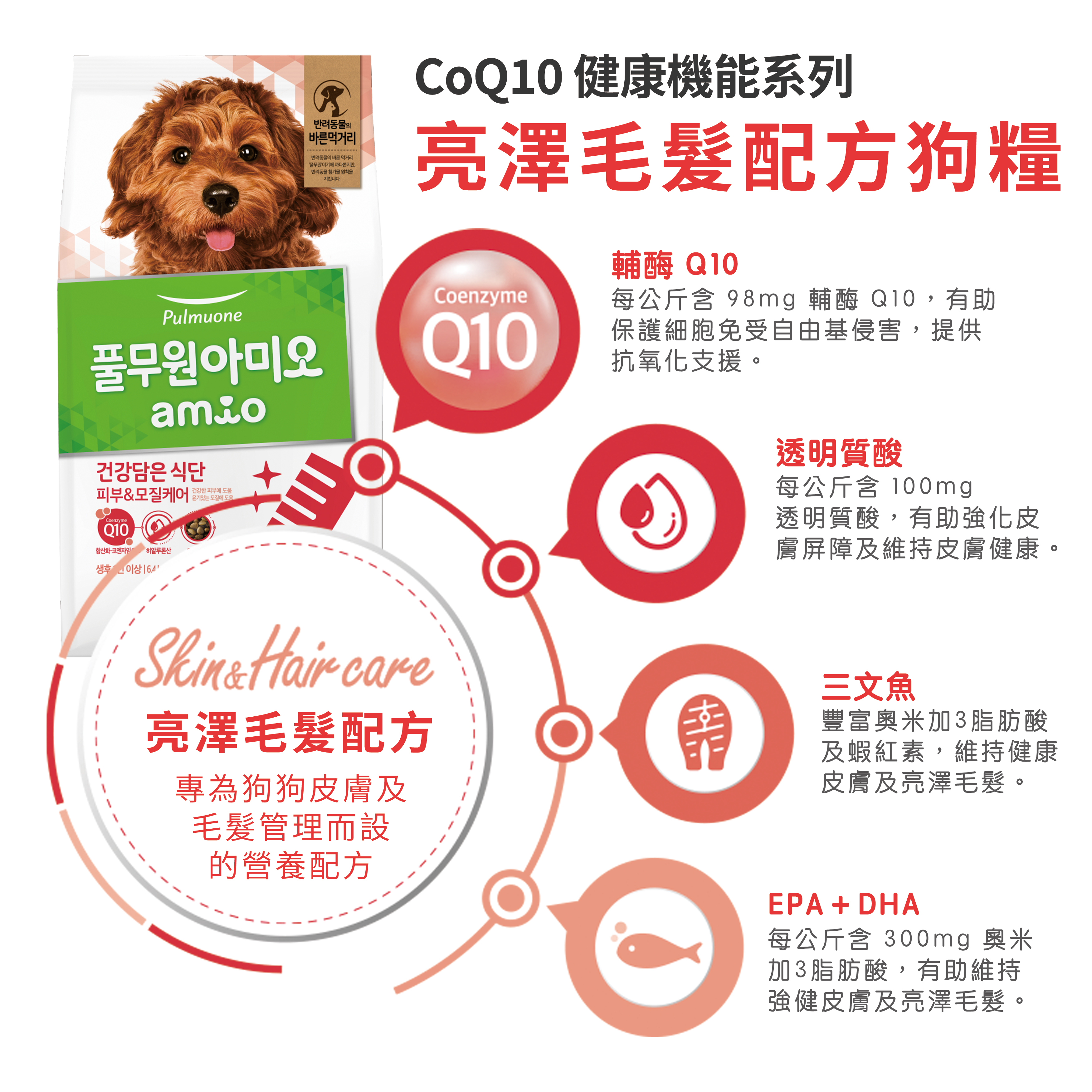 Amio 韓國Q10健康機能狗糧 亮澤毛髮成犬配方 1kg裝 x 2袋 (200g x 10袋)
