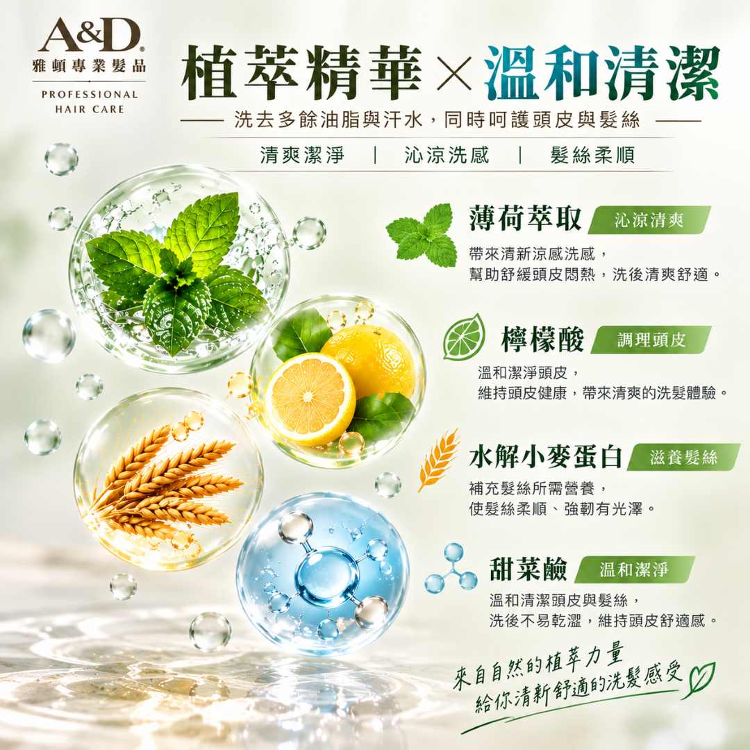 A&D雅頓葉綠素草本洗髮精2000ml，展示薄荷萃取、檸檬酸、水解小麥蛋白及甜菜鹼等成分介紹，搭配清爽潔淨、沁涼洗感與髮絲柔順的商品特色說明。