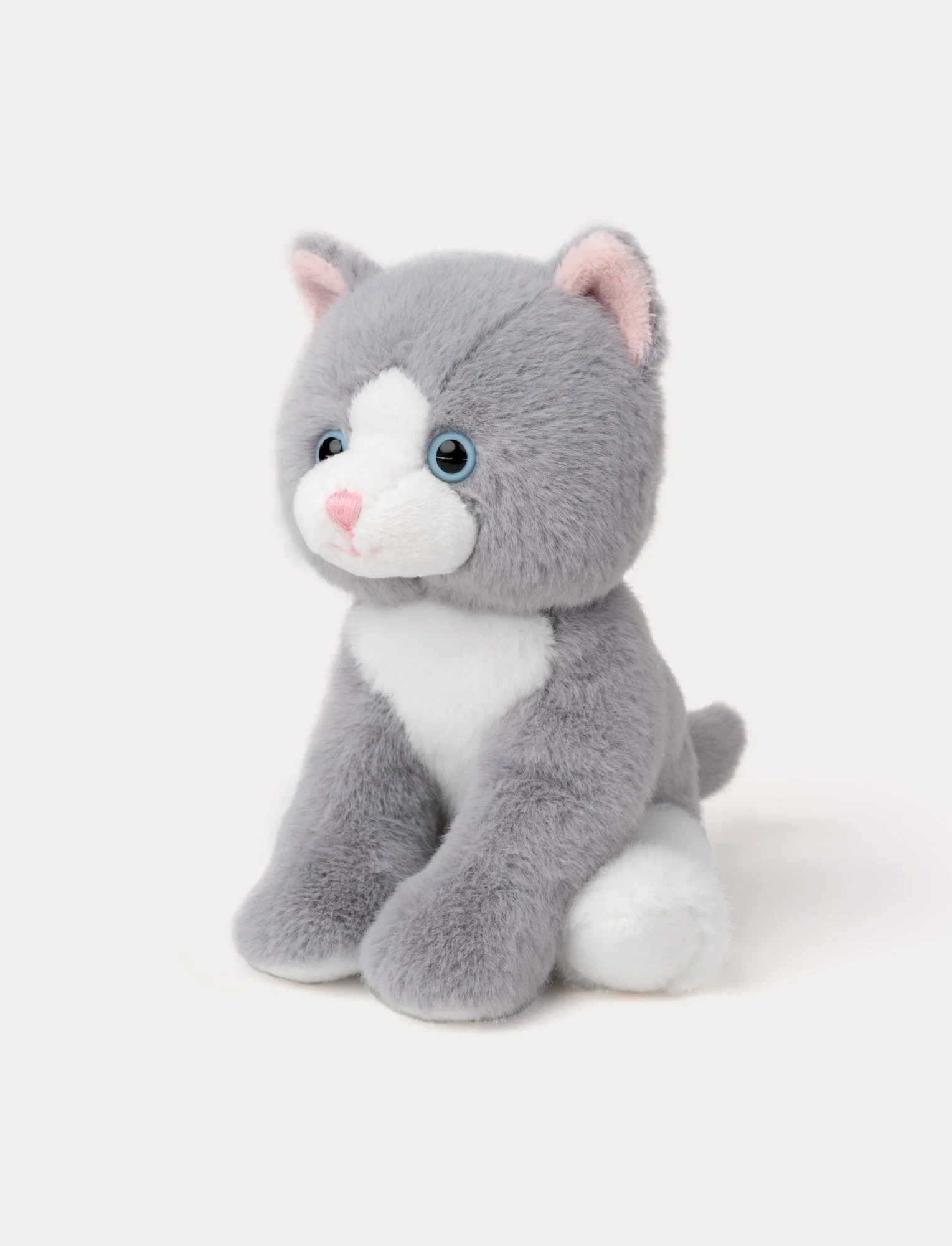 TeddyKompaniet Kittens灰白貓咪