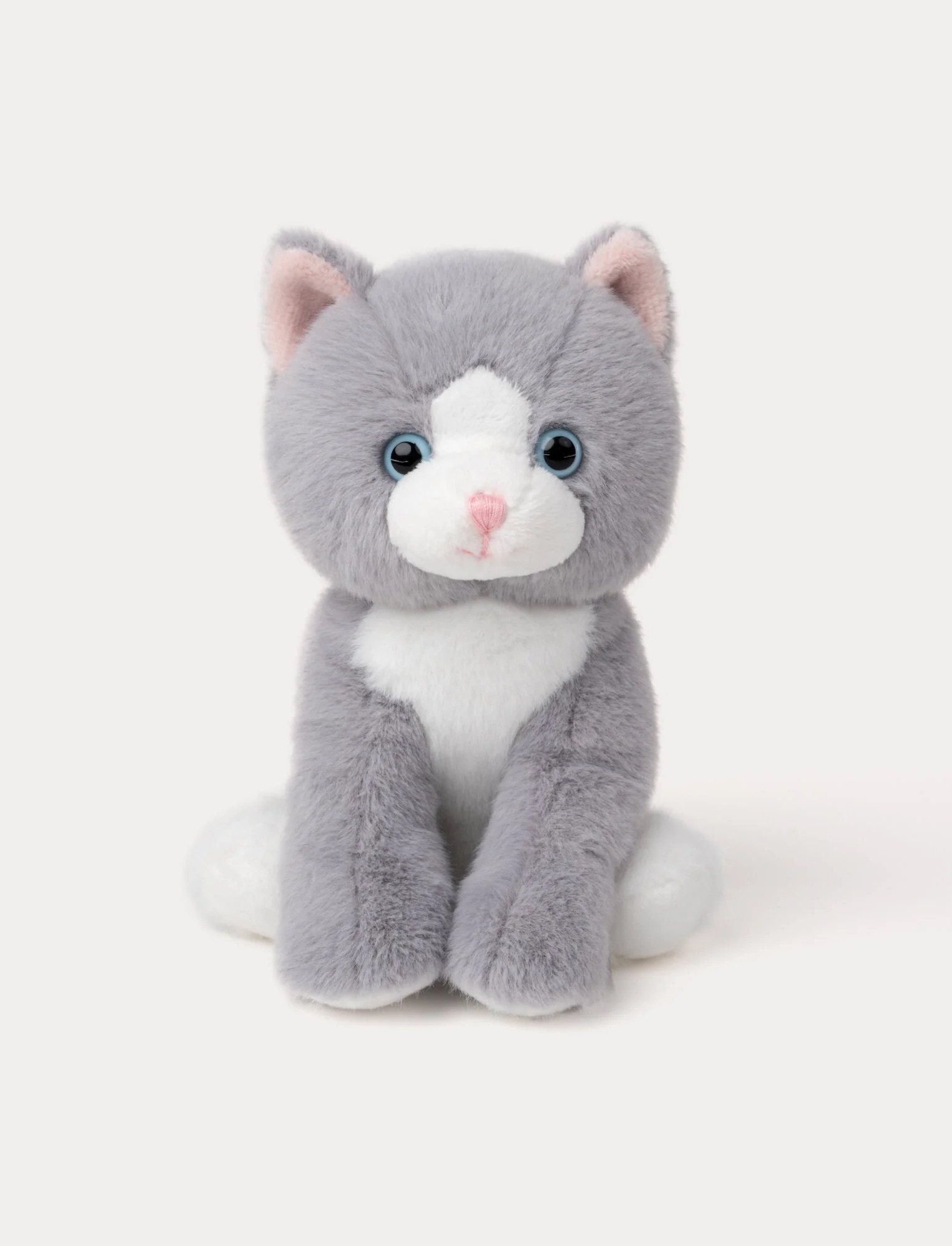 TeddyKompaniet Kittens灰白貓咪