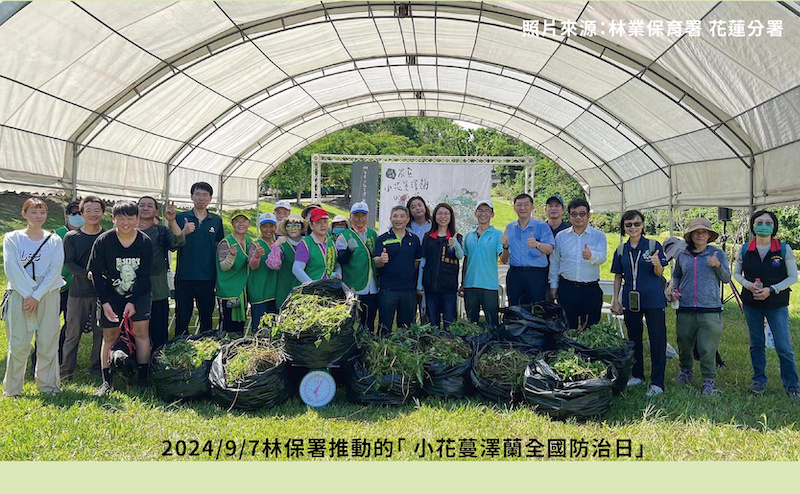 2024年9月7日林業保育署推動小花蔓澤蘭全民防治日活動合照