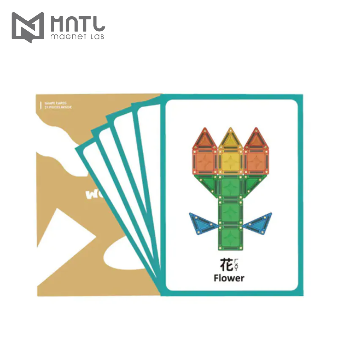 MNTL 創造力學習圖卡 20pcs