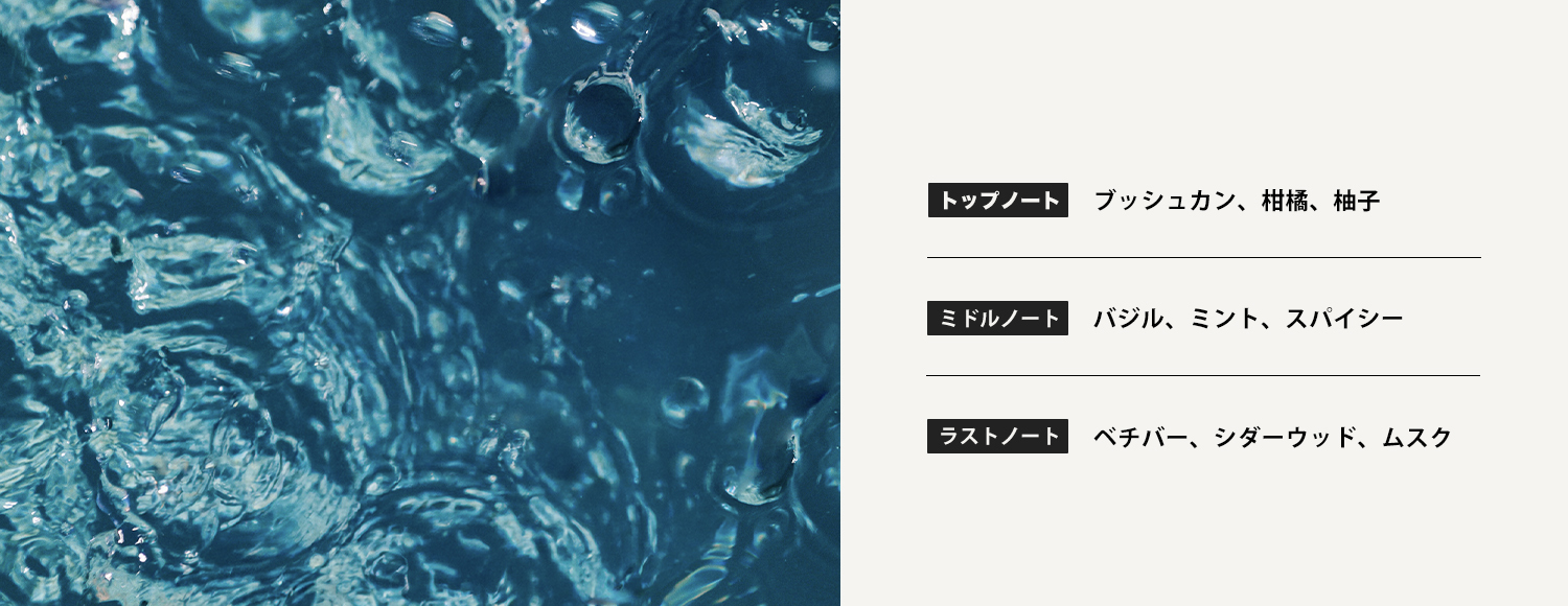 クローゼットタグ－翠緑の潮