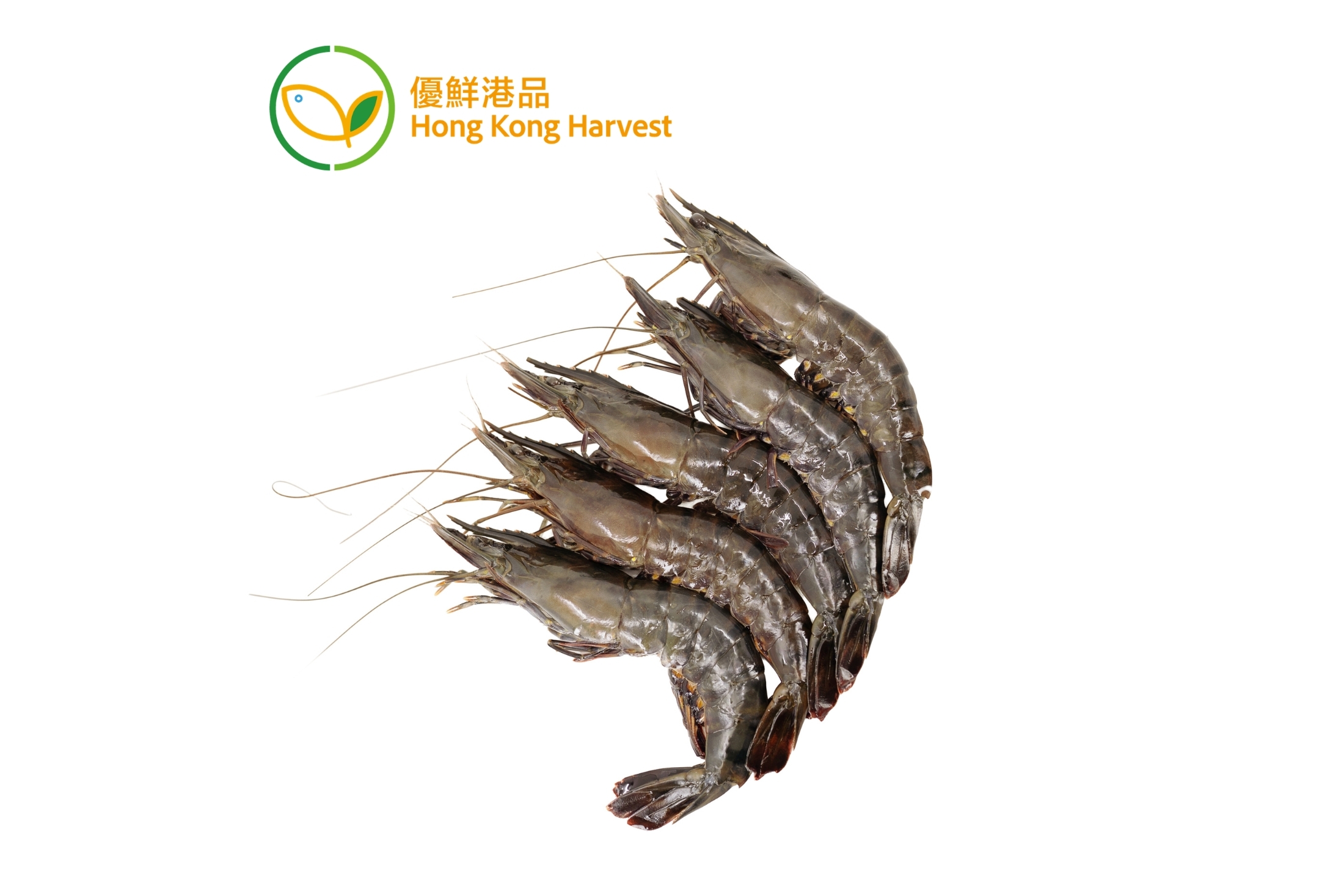 優鮮港品 - 本地速凍草蝦 250g