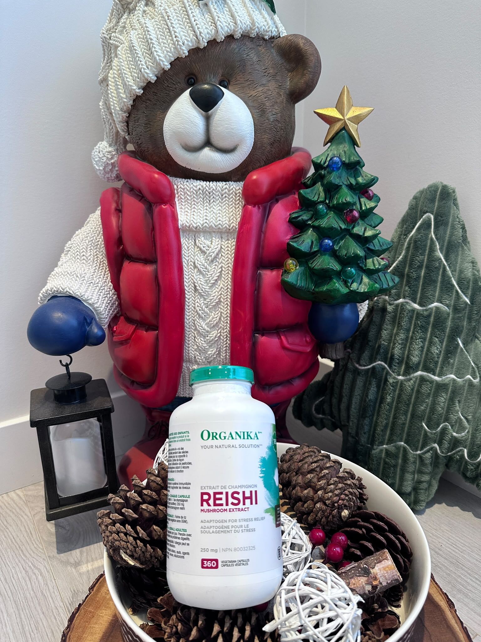 WT18 Organika 靈芝精華 Reishi Mushroom 250mg 360粒  **到期日: 約 2029/09 (特價貨品購買至10月19日晚上11:59)