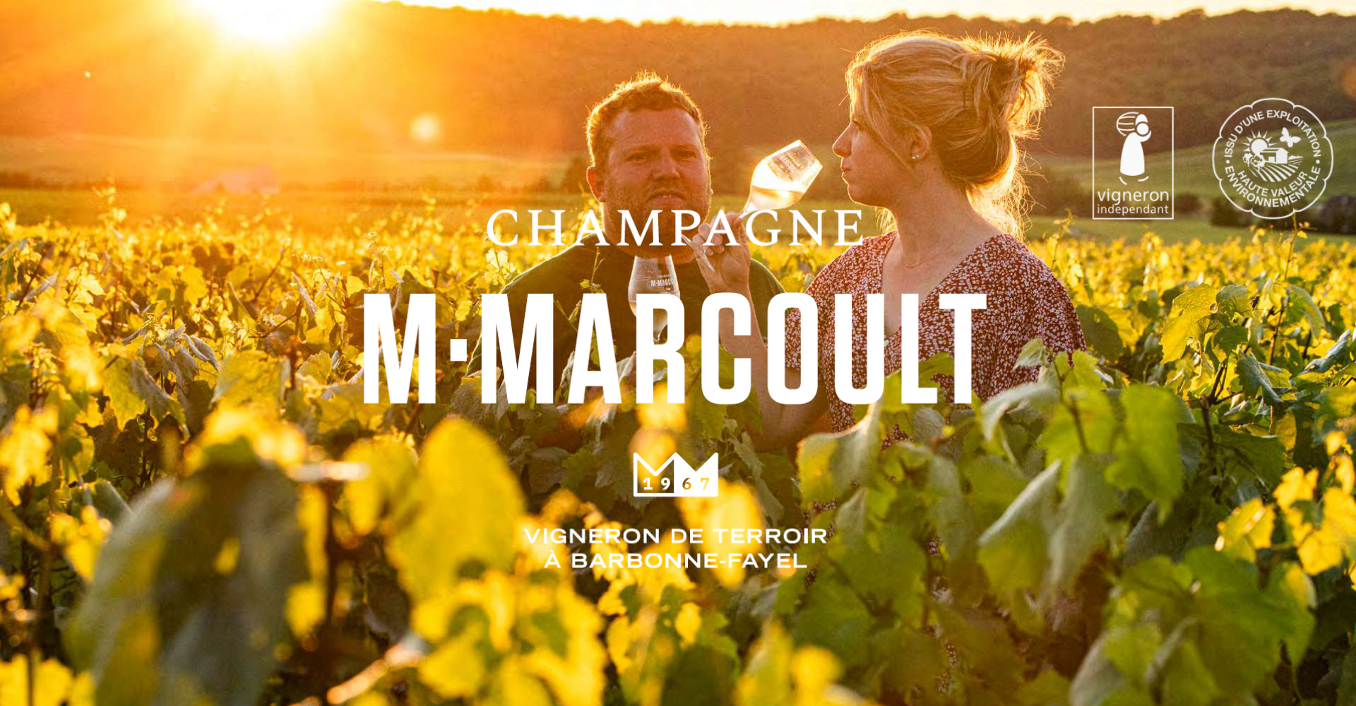 A view over Champagne vineyards at sunrise