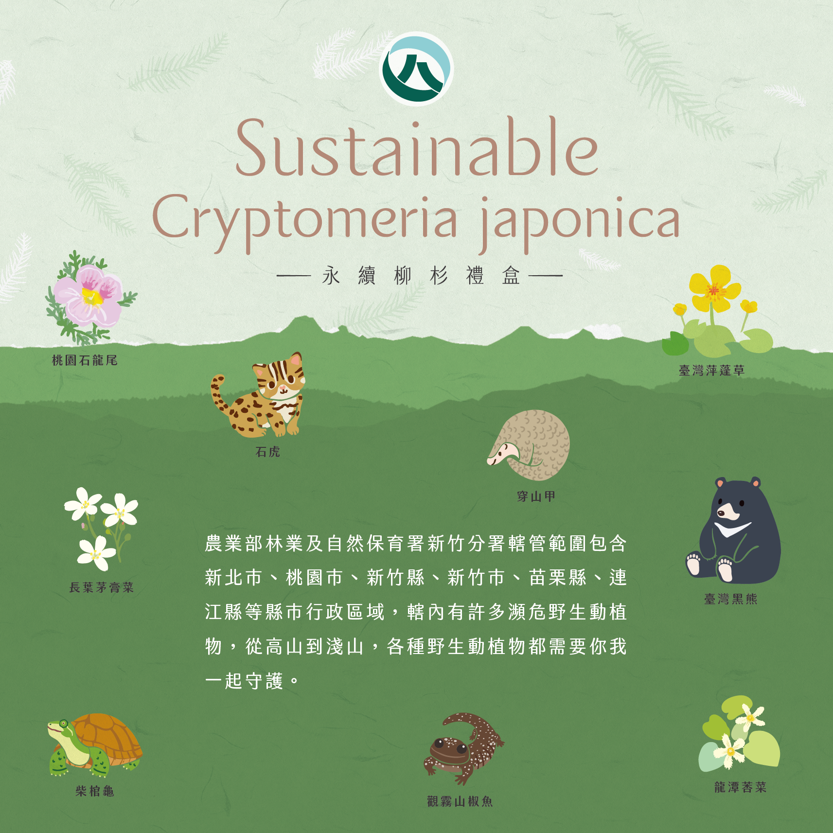 林業及自然保育署新竹分署永續柳杉與轄區保育物種介紹