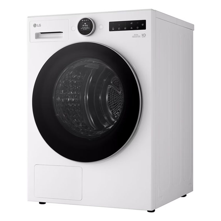 LG 樂金 10公斤 熱泵除濕式 雙變頻免曬衣乾衣機(WR-10XW)