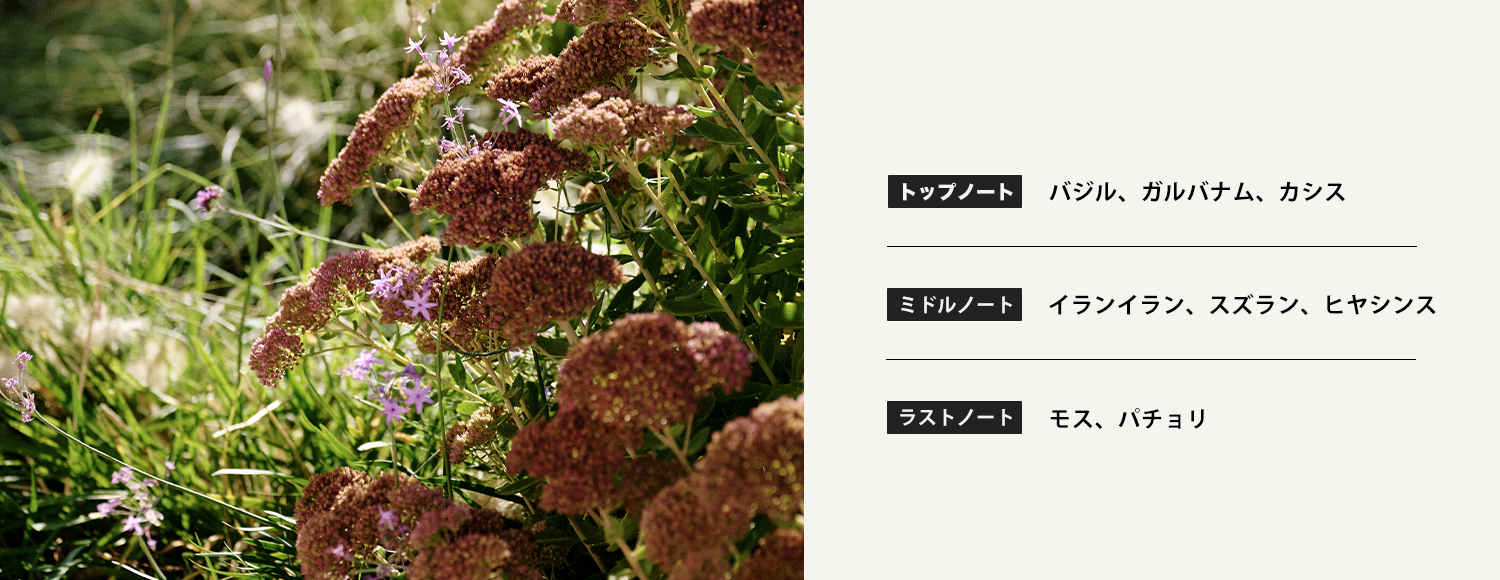 香氛吊卡－溫室苔蘚