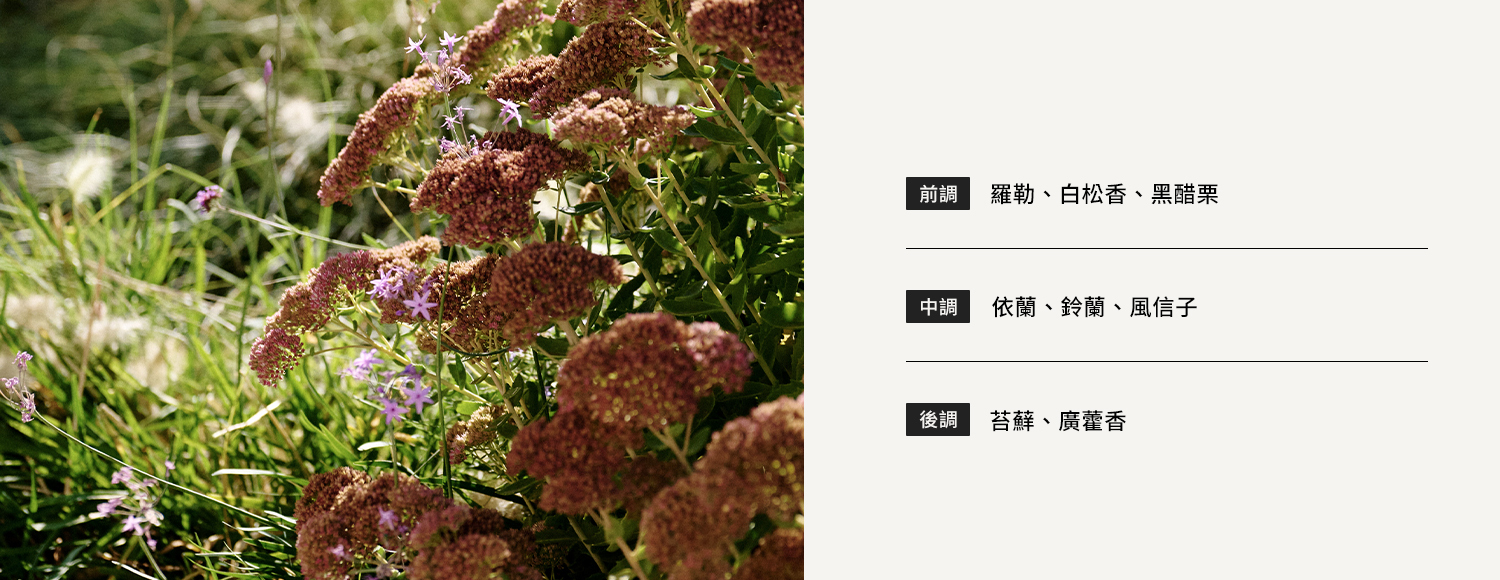 香氛吊卡－溫室苔蘚