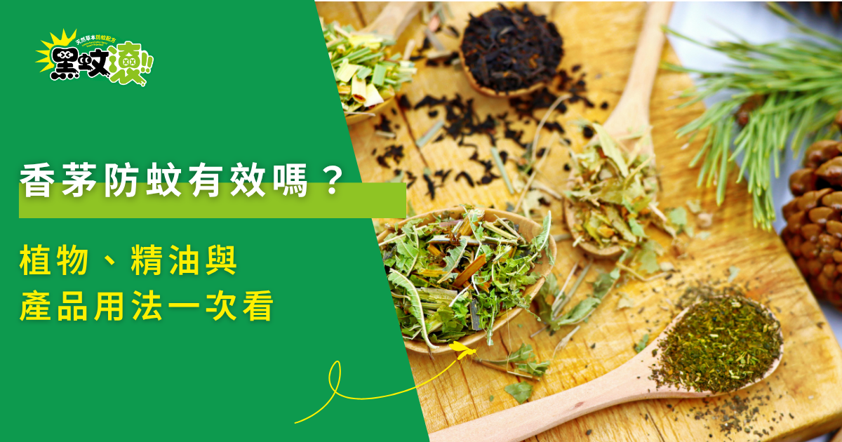 木質桌面上放置多支裝有天然草本植物與香茅粉末木匙的特寫,象徵香茅防蚊、天然精油與驅蚊產品應用。