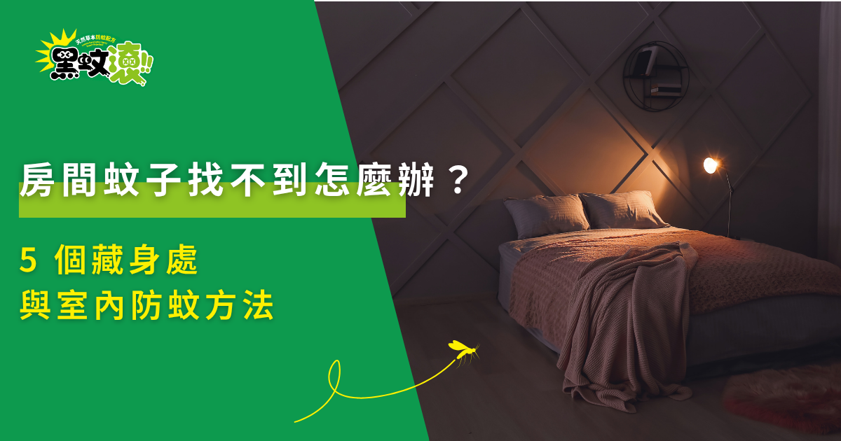 昏暗燈光下的臥室床鋪特寫畫面,象徵房間內蚊子藏匿、夜間干擾與室內防蚊方法等居家健康議題。