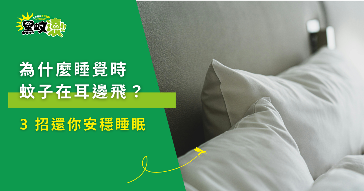 臥室枕頭與床鋪的特寫畫面,象徵夜間睡眠干擾、耳邊蚊子飛行與室內防蚊方法等居家健康議題