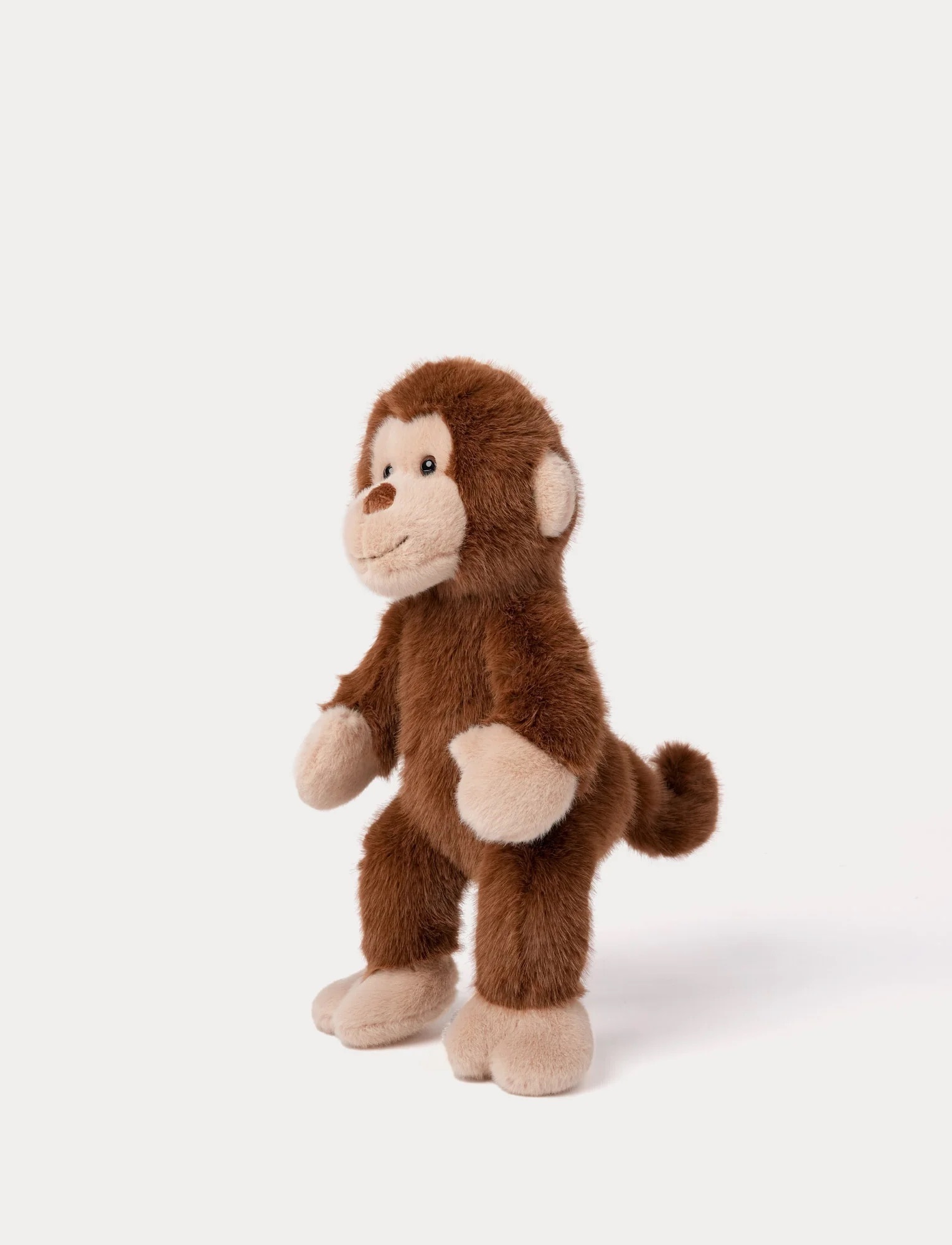 Teddykompaniet  Wild猴子