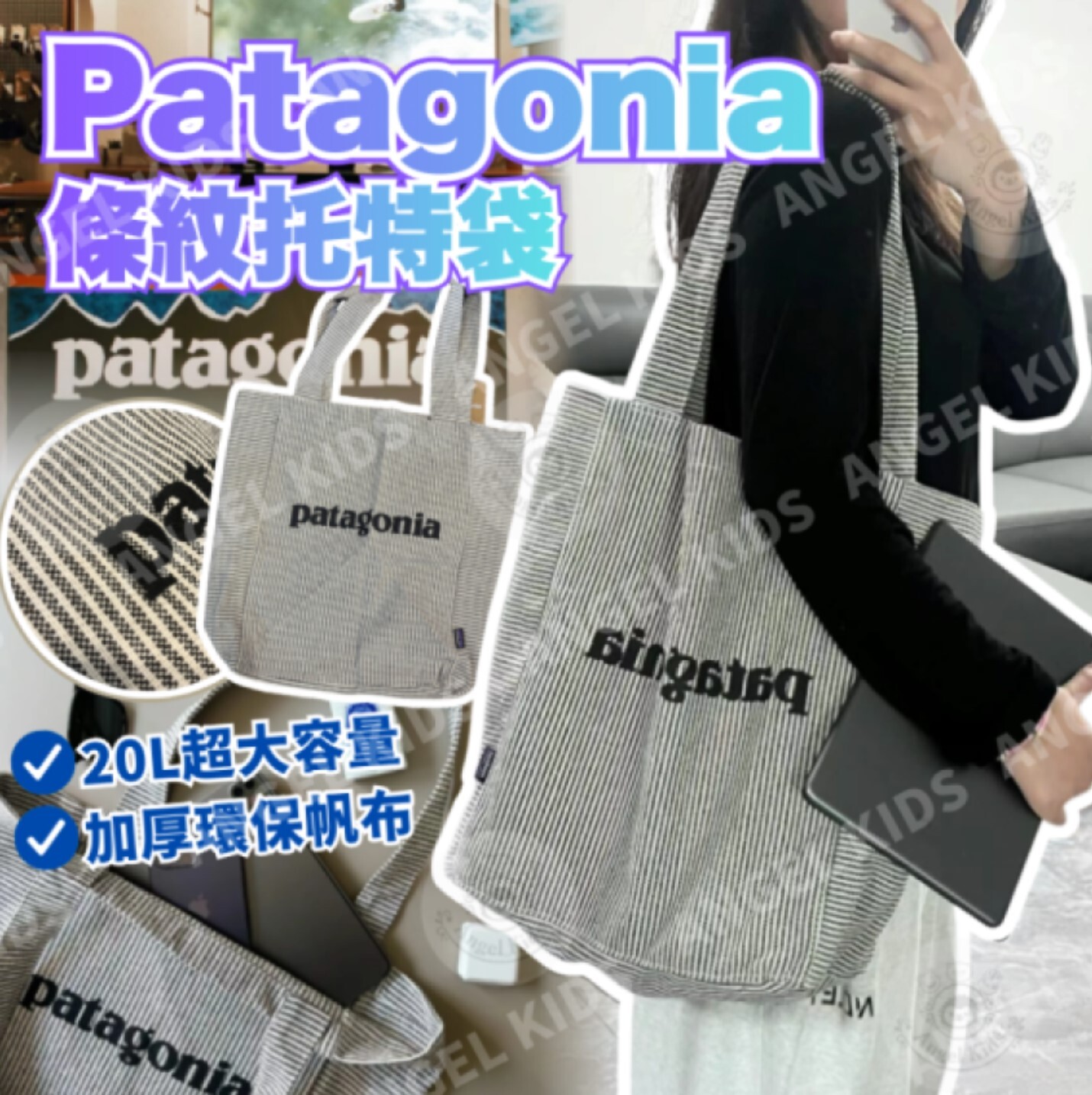 Patagonia 條紋托特袋 現貨