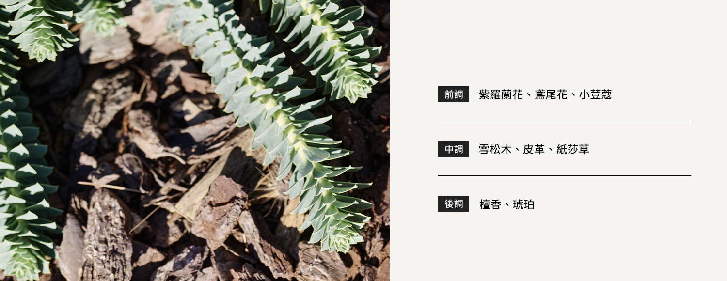 香氛吊卡－檀香修院