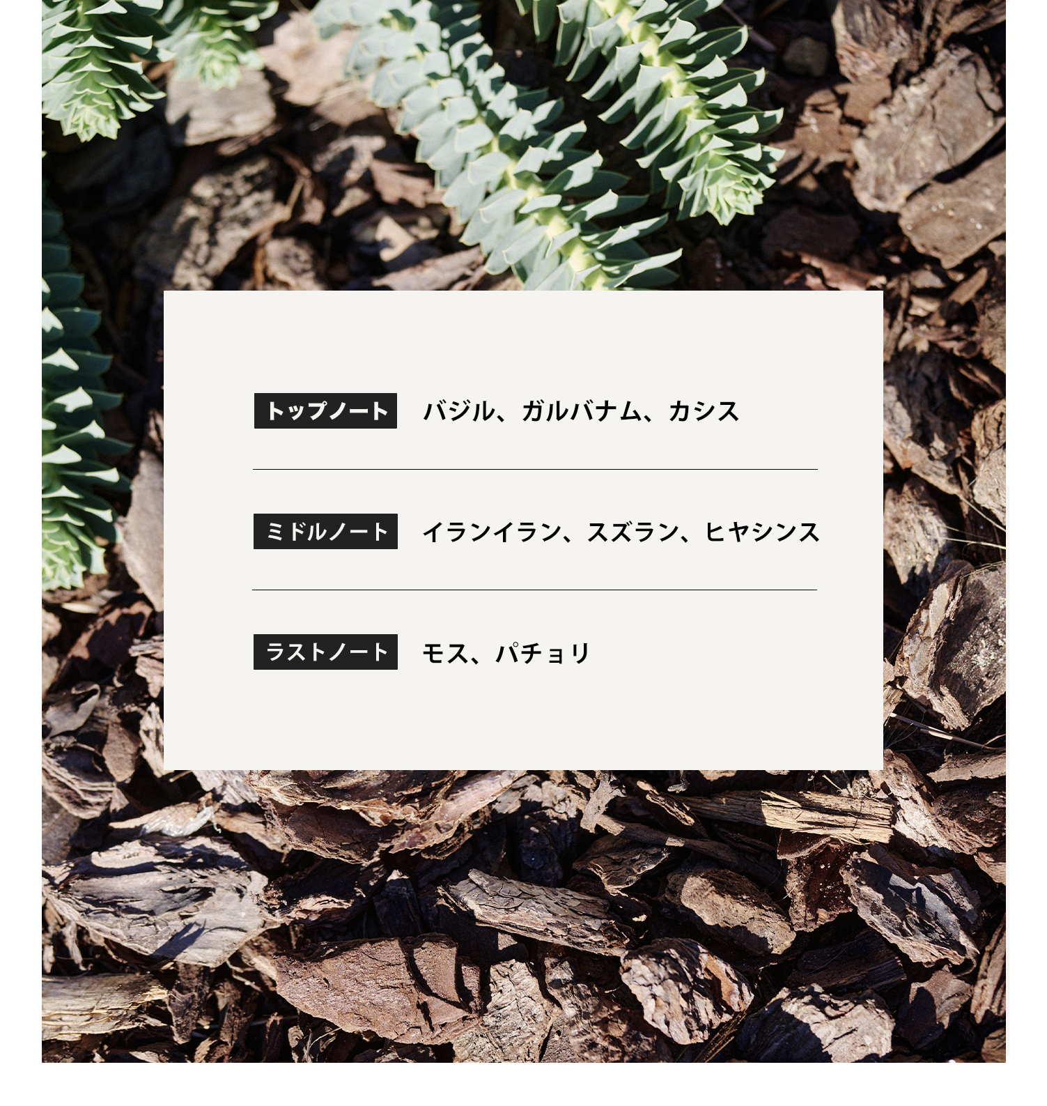 クローゼットタグ－白檀の修道院