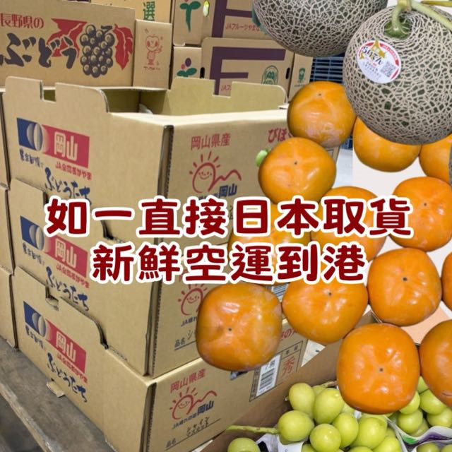 🍊【如菓】日本水果群