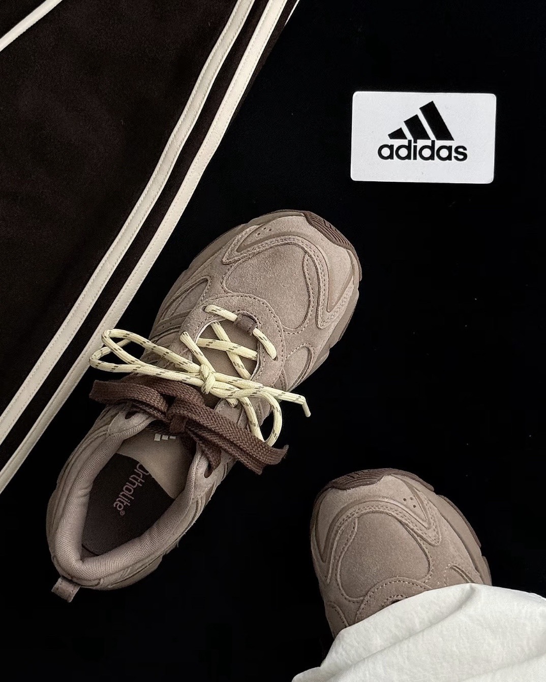 Adidas Whisper Glide 麂皮 雙鞋帶 咖啡色