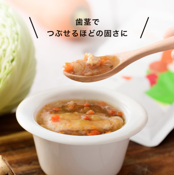 日本 the kindest 雞肉蔬菜燴汁 (單包裝) 100g 9M+