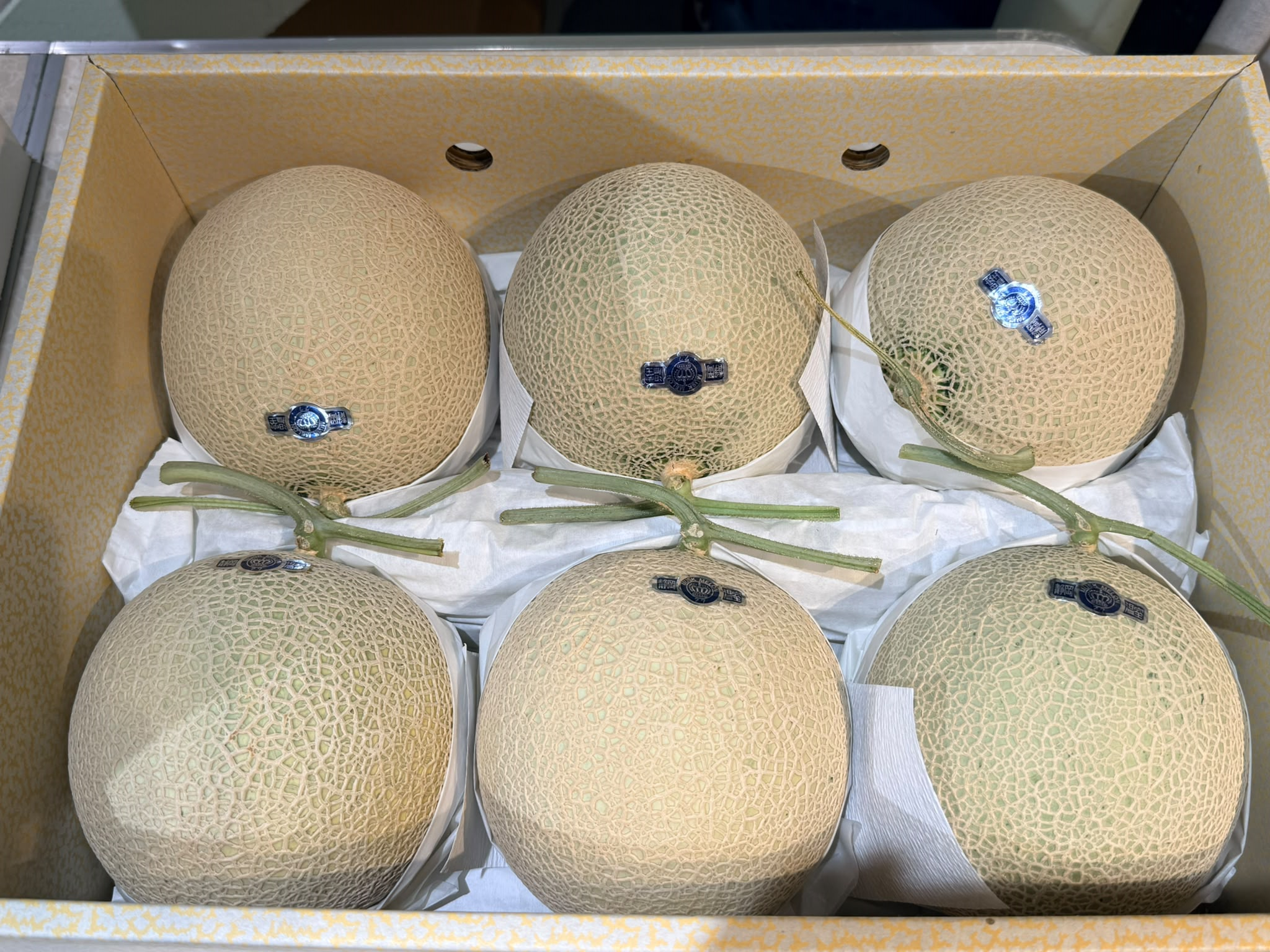 日本直送✈️靜岡產溫室皇冠級蜜瓜（1.4kg）