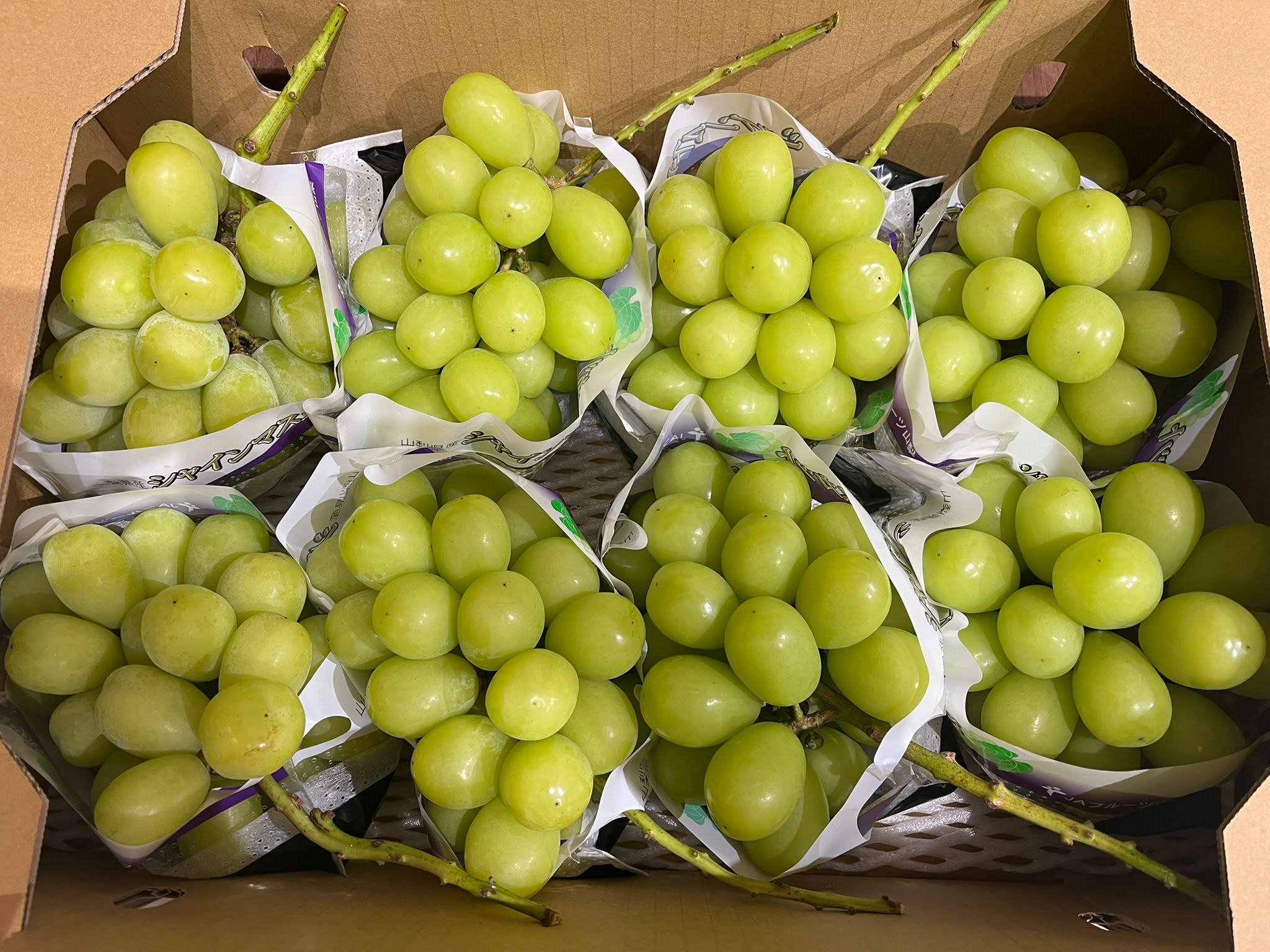 日本直送✈️山梨產香印提子（600g/束）