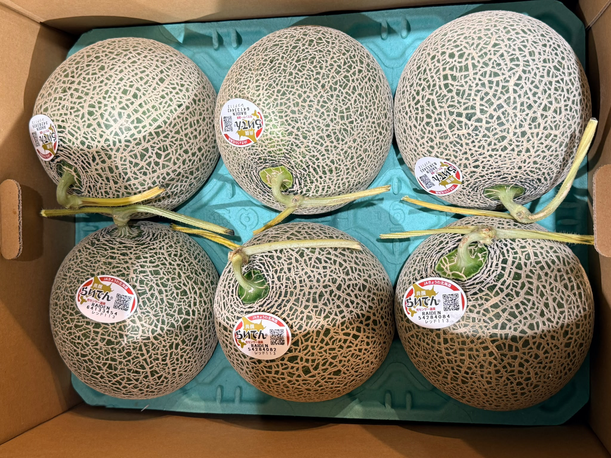 日本直送✈️北海道產赤肉蜜瓜（1.3kg）