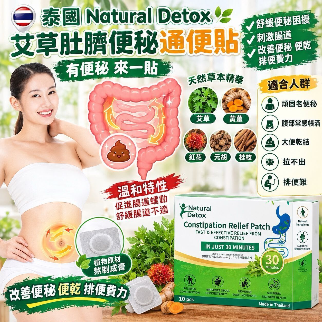 泰國 Natural Detox 艾草肚臍便秘通便貼 (1盒10貼)