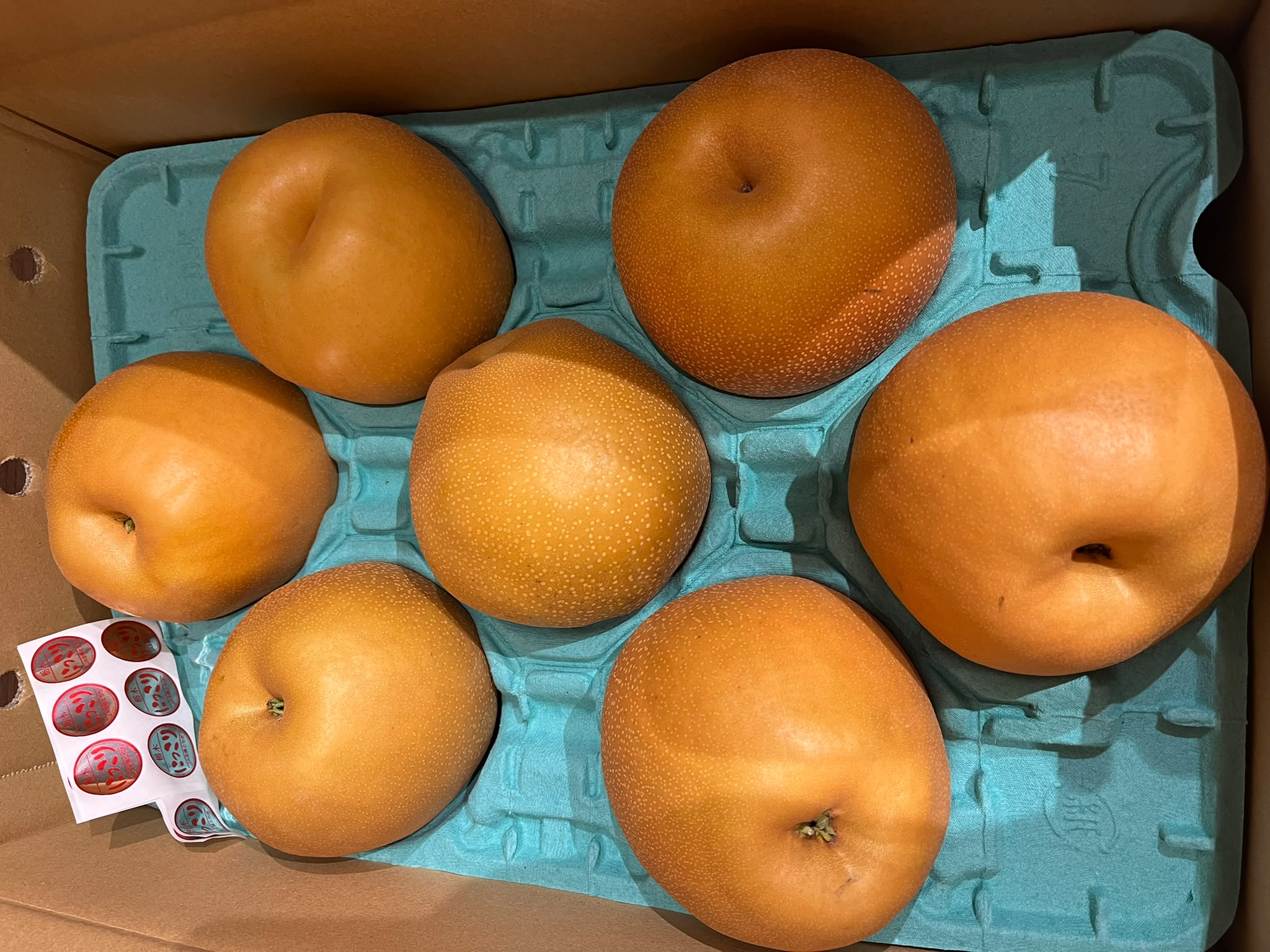 日本直送✈️栃木產日光梨（700g）
