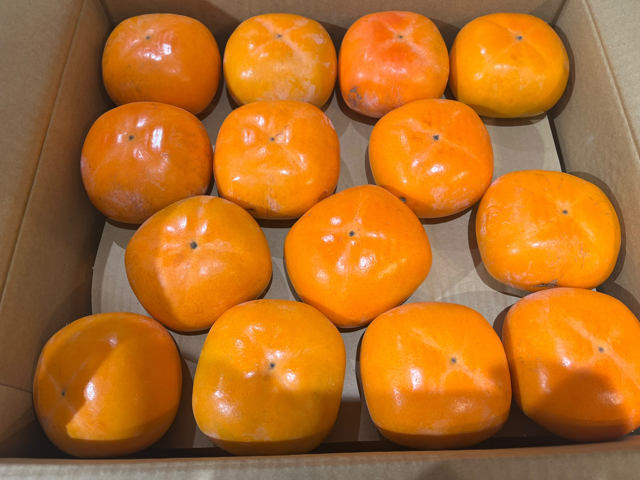 日本直送✈️和歌山產刀根柿 270g 兩個