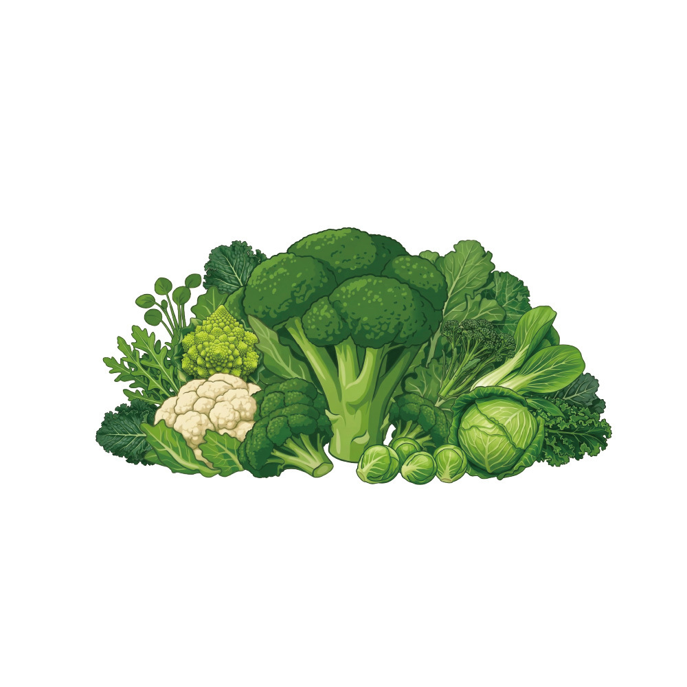 預購中【格萊思美】德國植化硒·十字花科·蘿蔔硫素 全素 (30包)
