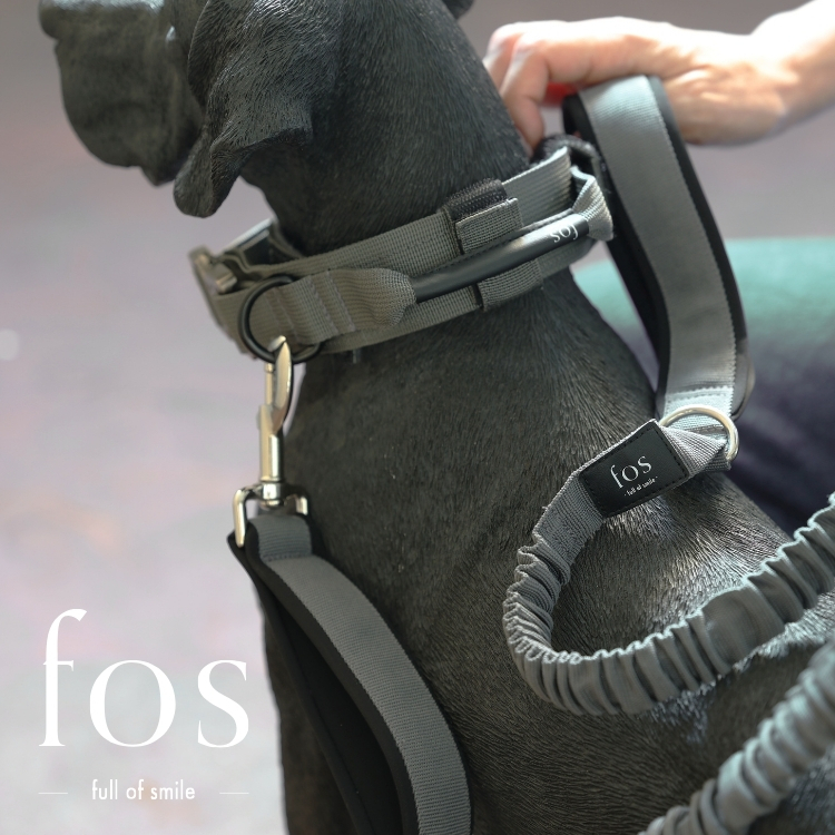 【日本 fos】寵物頸圈｜Noble Collar
