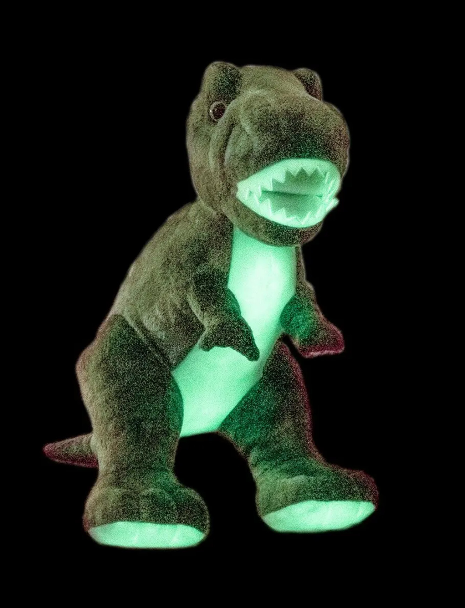 Teddykompaniet  夜光暴龍
