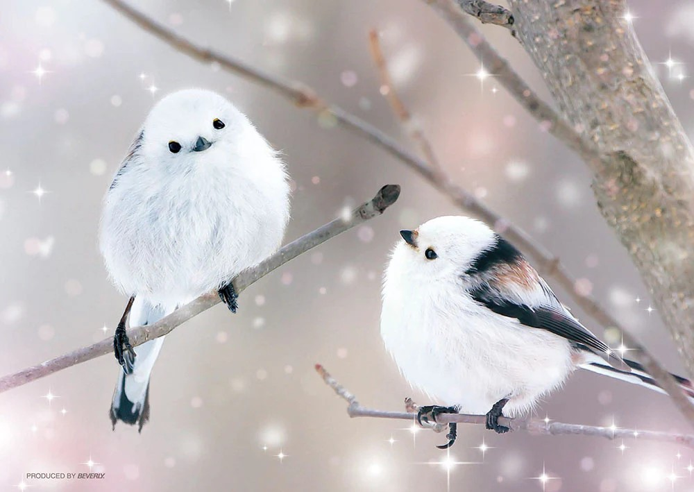 Will spring come again? The striped long-tailed bird.