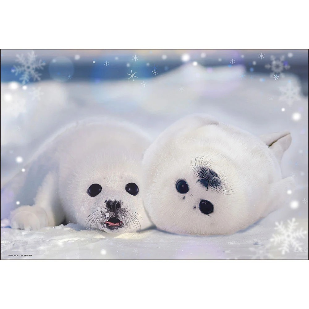Seal kindergarten