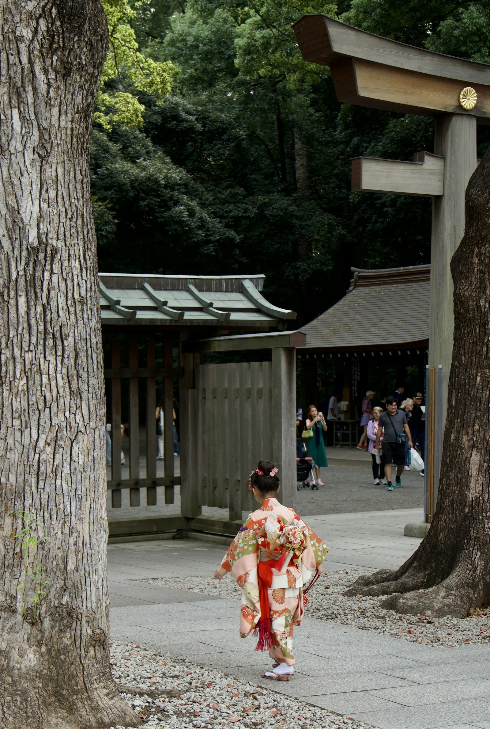 日本七五三 穿和服的小女孩走向神社鳥居