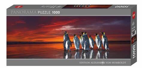 Sunset Penguin