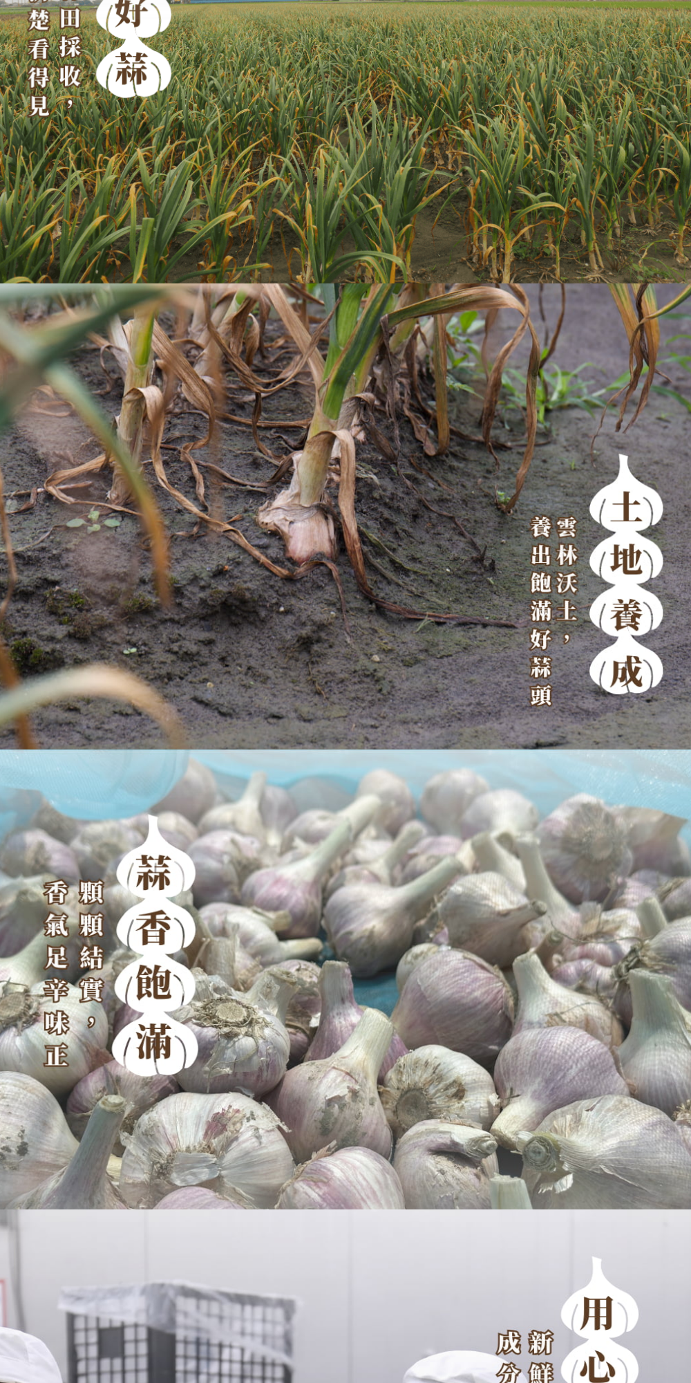 料理必備