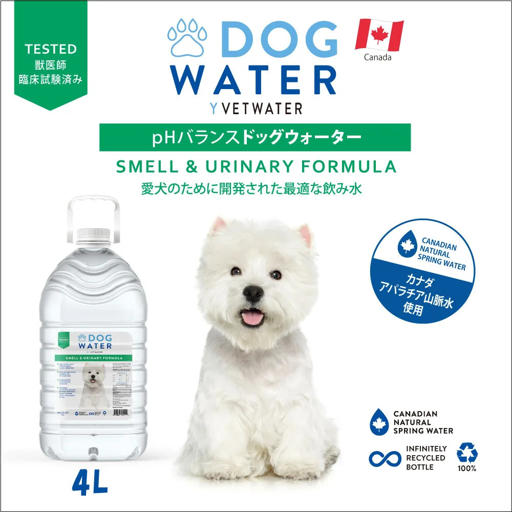 VETWATER Dog Water 500ml (Best Before 2028/08/29)