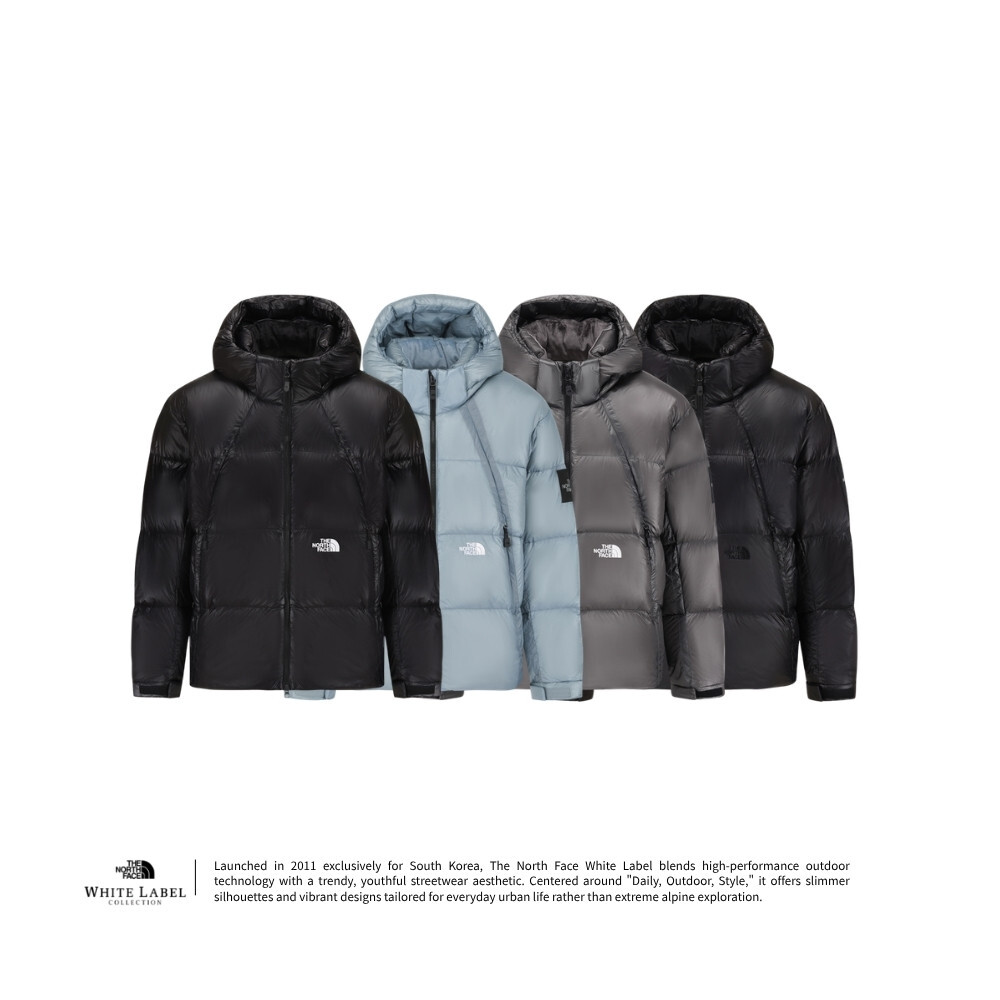 The North Face PROJECT DOWN JACKET V2 羽絨外套