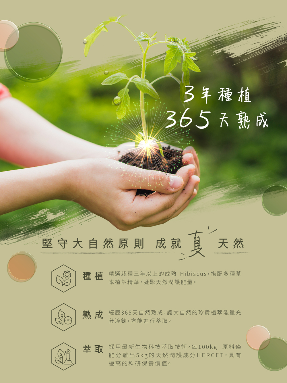 舒活漾堅守大自然原則，精選栽種三年以上的成熟Hibiscus搭配多種草本植萃精華，經歷365天自然熟成，並採用最新生物科技萃取技術，每100kg原料僅能分離出5kg的HERCET天然潤護成分。